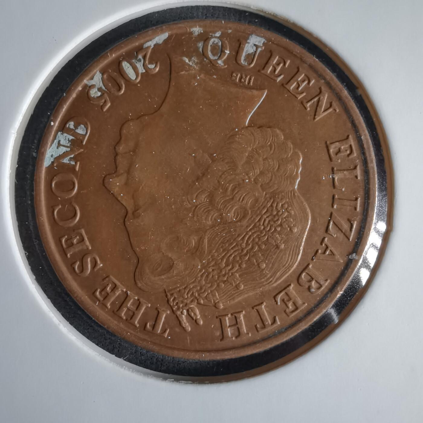 沼泽如烟--第1033场