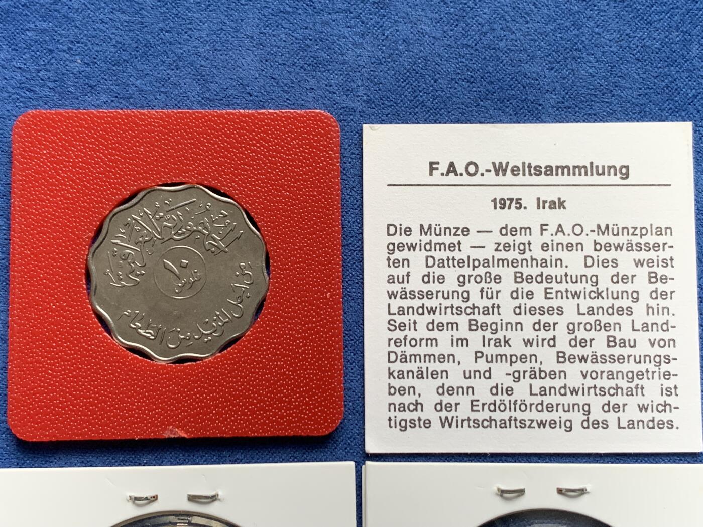 《竞宝斋》第474场 周日，周一 2场连拍 （全场包邮）欢迎送拍 3枚一组 F.A.O纪念 1970伊拉克250F纪念币2枚+1975伊拉克10F花边纪念币，均为好品。伊拉克枣椰树，热门上涨品种，高分价格已起飞