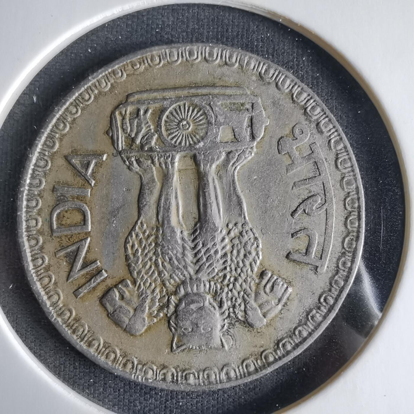 沼泽如烟--第1033场