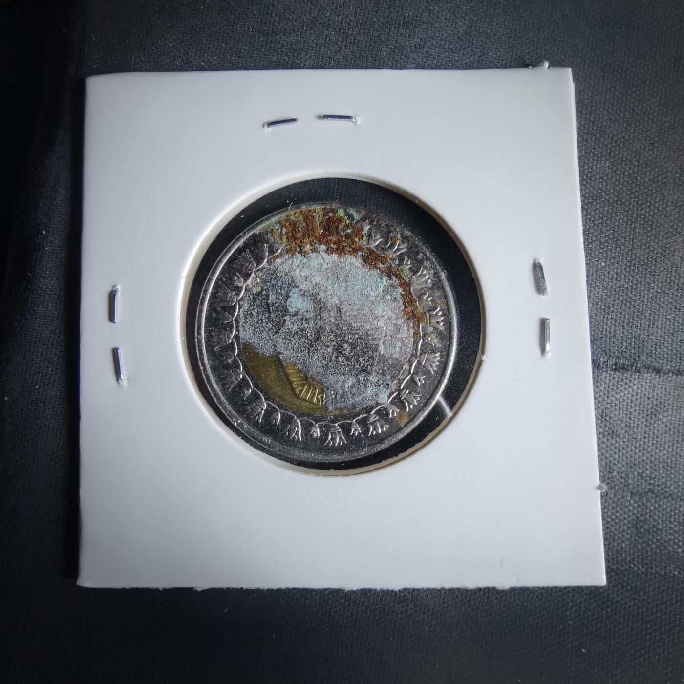 沼泽如烟--第1033场 埃及