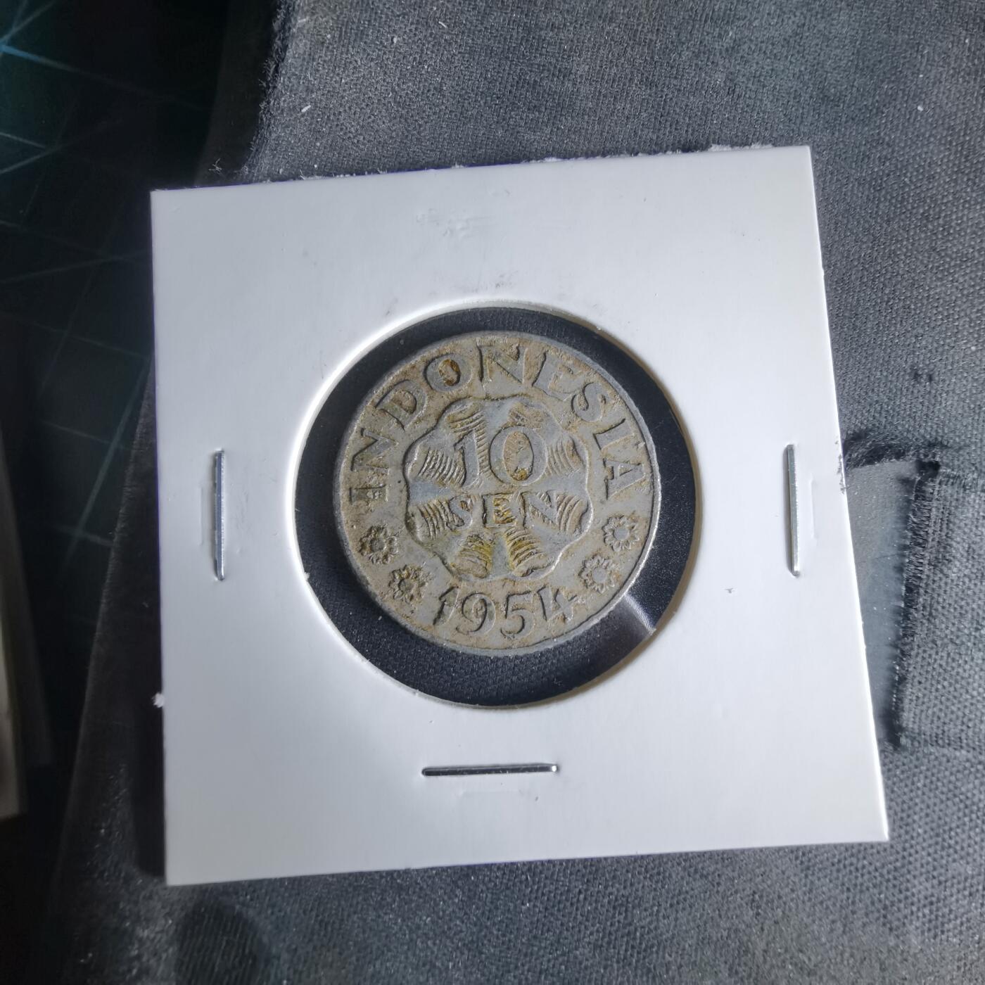 沼泽如烟--第1033场