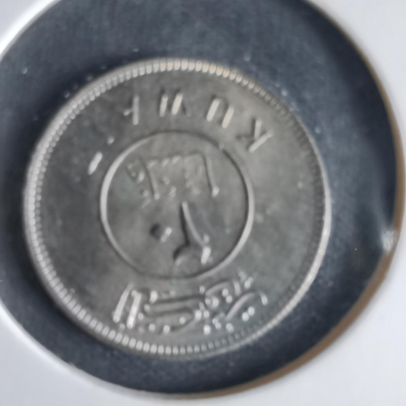 沼泽如烟--第1033场