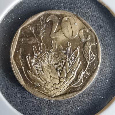 沼泽如烟--第1033场 - 南非1995年20分