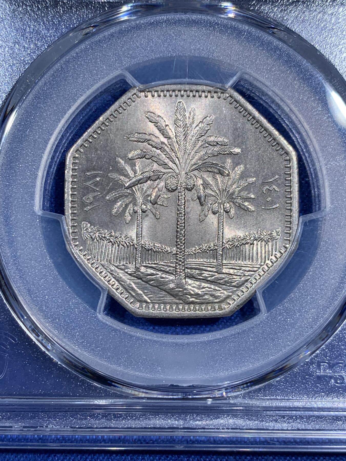 《竞宝斋》第474场 周日，周一 2场连拍 （全场包邮）欢迎送拍 PCGS MS65 伊拉克1981年椰树250费尔多边形镍币 冠军分！