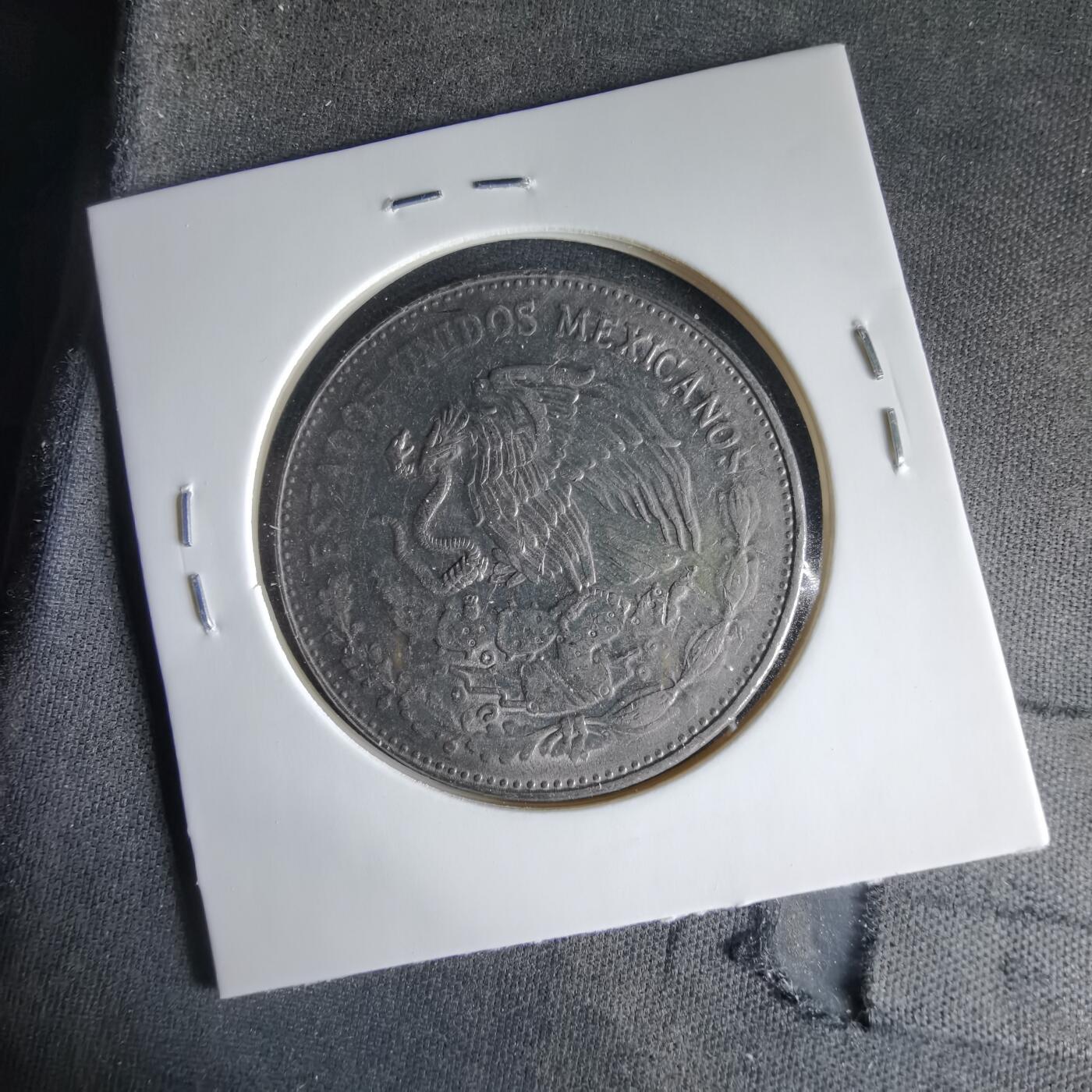 沼泽如烟--第1033场