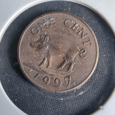 沼泽如烟--第1033场 - 百慕大1997年一分