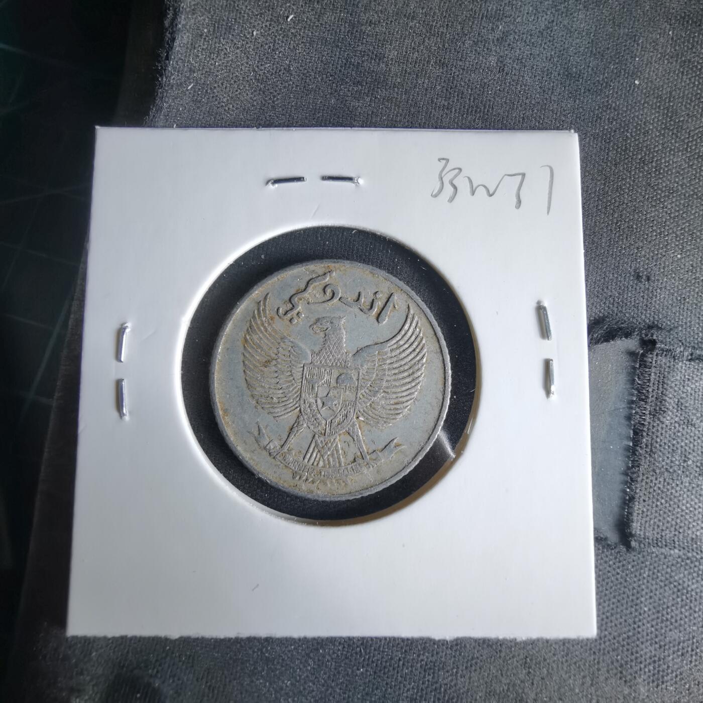 沼泽如烟--第1033场