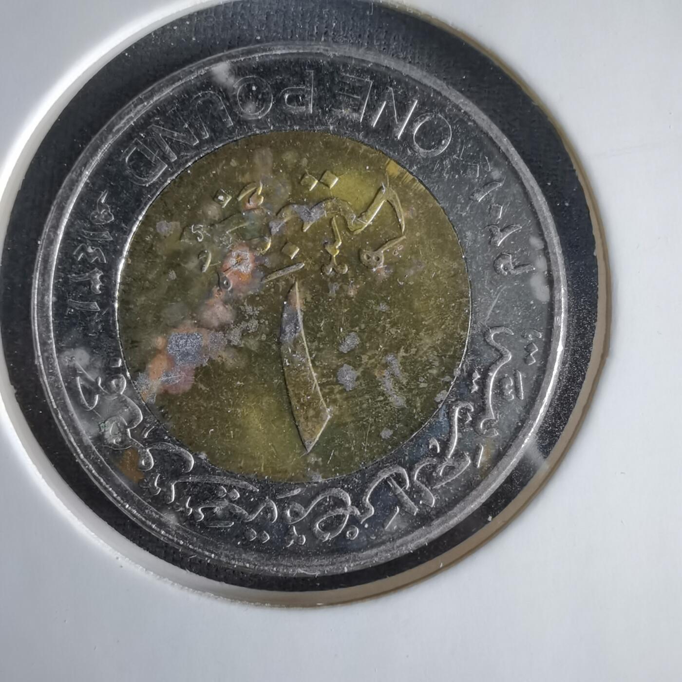 沼泽如烟--第1033场 埃及