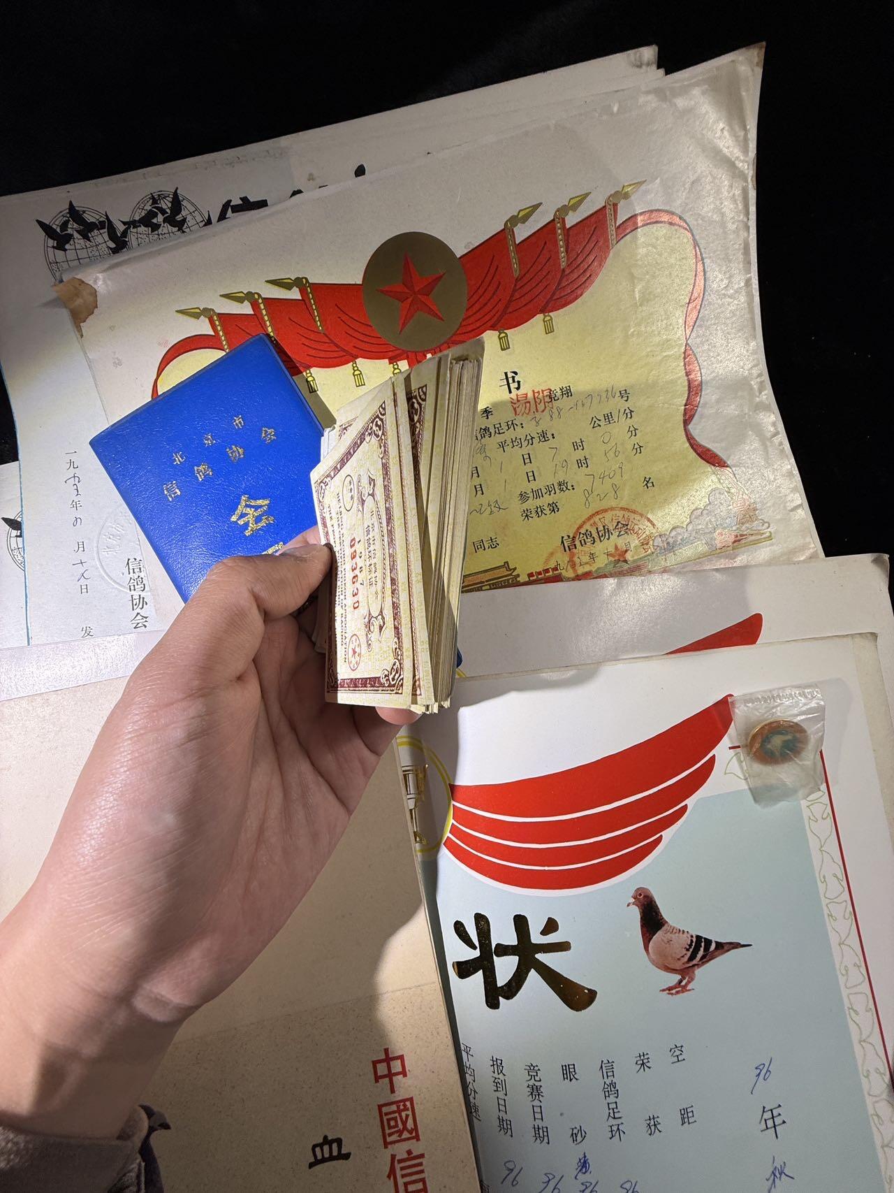 戎马世界章牌大赏，第112期