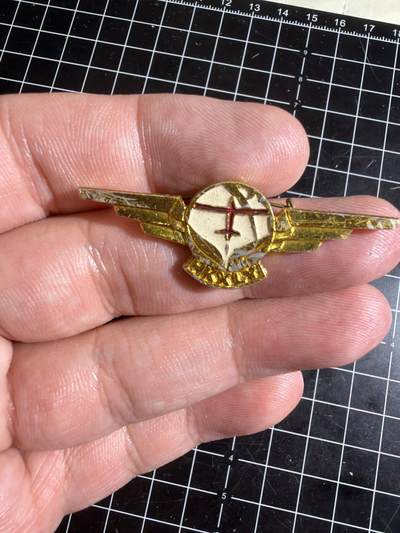 古冰库章牌勋赏收藏第58次拍卖 - 1984全国青少年航空夏令营徽章