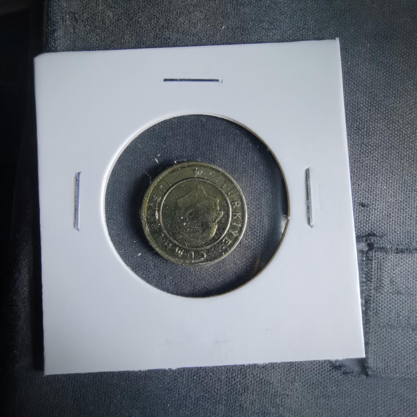 沼泽如烟--第1033场