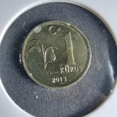 沼泽如烟--第1033场 - 土耳其2013年1库鲁