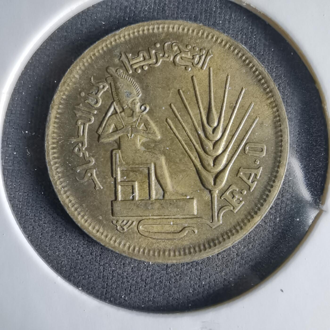 沼泽如烟--第1033场 埃及纪念币