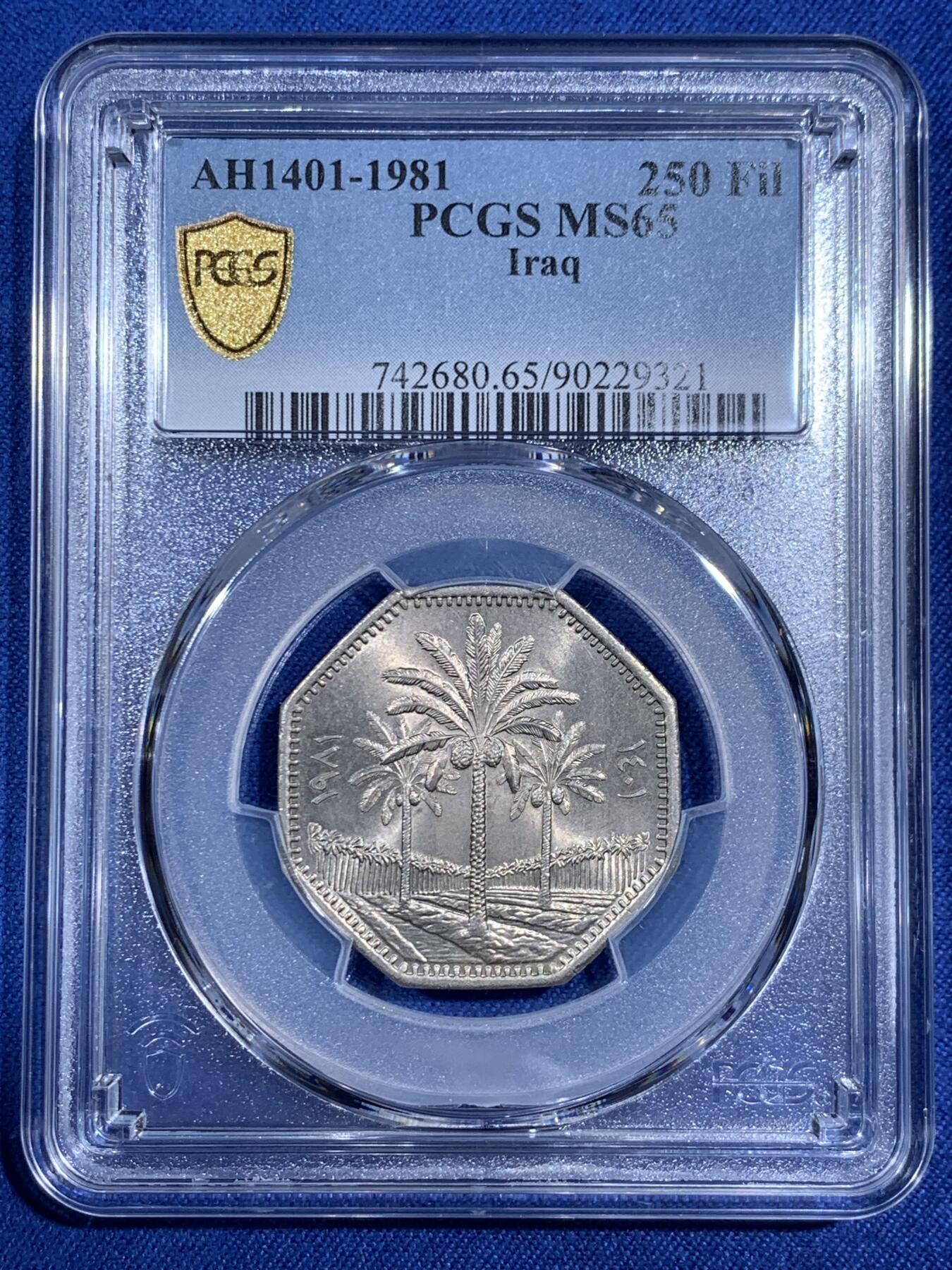 《竞宝斋》第474场 周日，周一 2场连拍 （全场包邮）欢迎送拍 PCGS MS65 伊拉克1981年椰树250费尔多边形镍币 冠军分！
