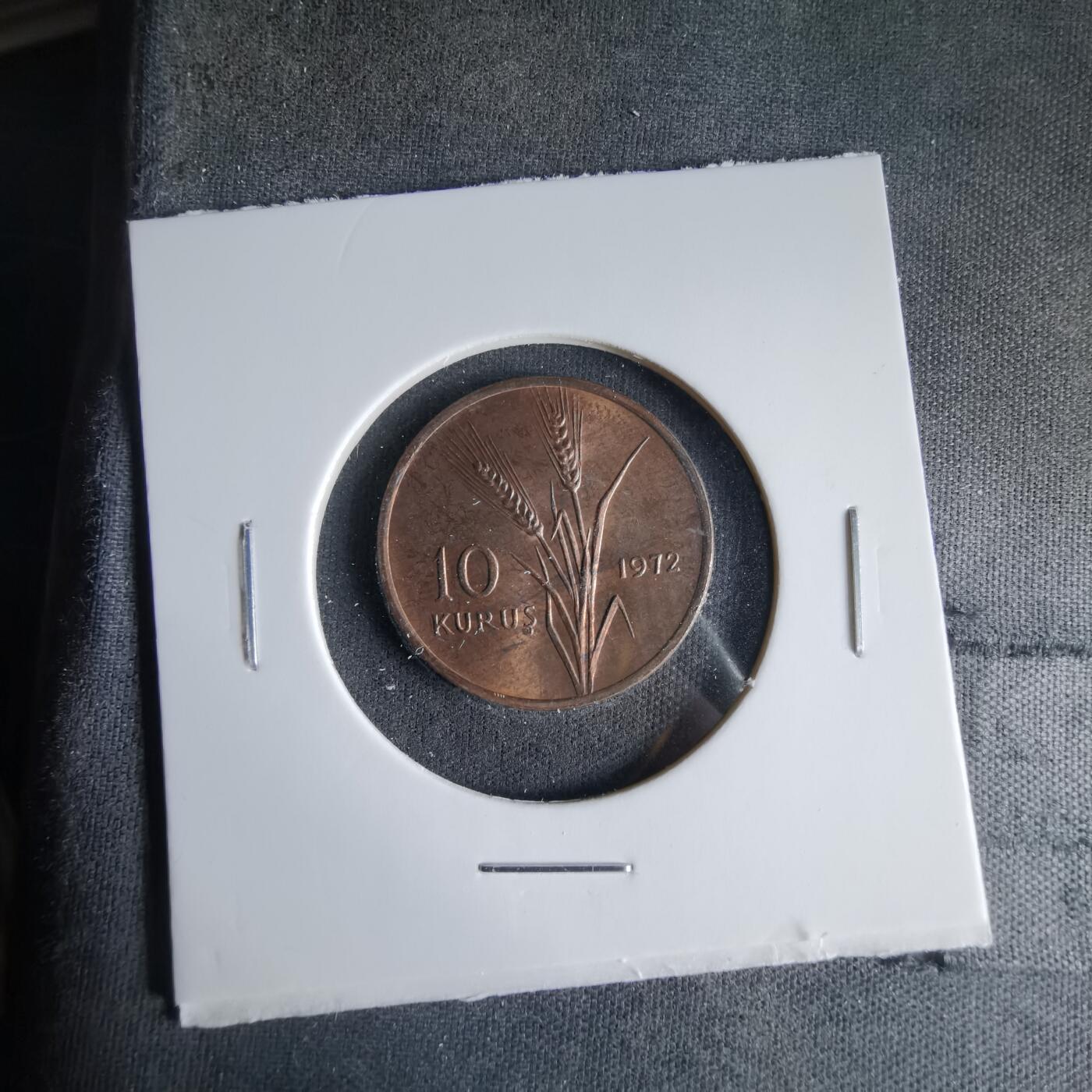 沼泽如烟--第1033场