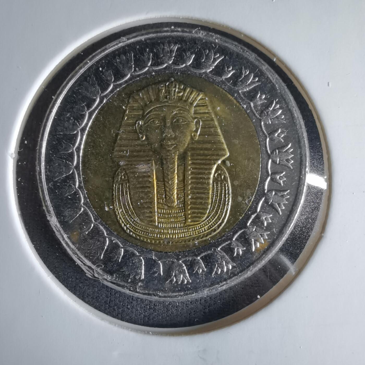 沼泽如烟--第1033场 埃及