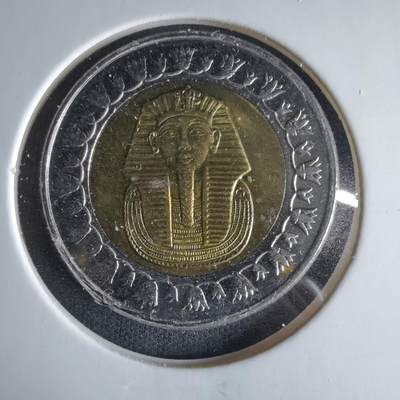 沼泽如烟--第1033场 - 埃及