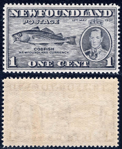 洪涛臻品批发群 精选邮票限时拍卖第1295期  - 1937纽芬兰鳕鱼邮票 原胶润亮全品