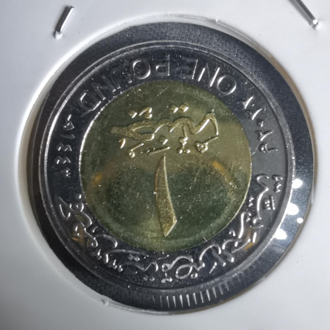 沼泽如烟--第1030场 埃及