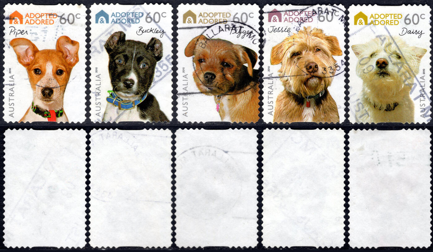 洪涛臻品批发群 精选邮票限时拍卖第1297期  澳大利亚2010 很漂亮 宠物狗邮票 信销好品
