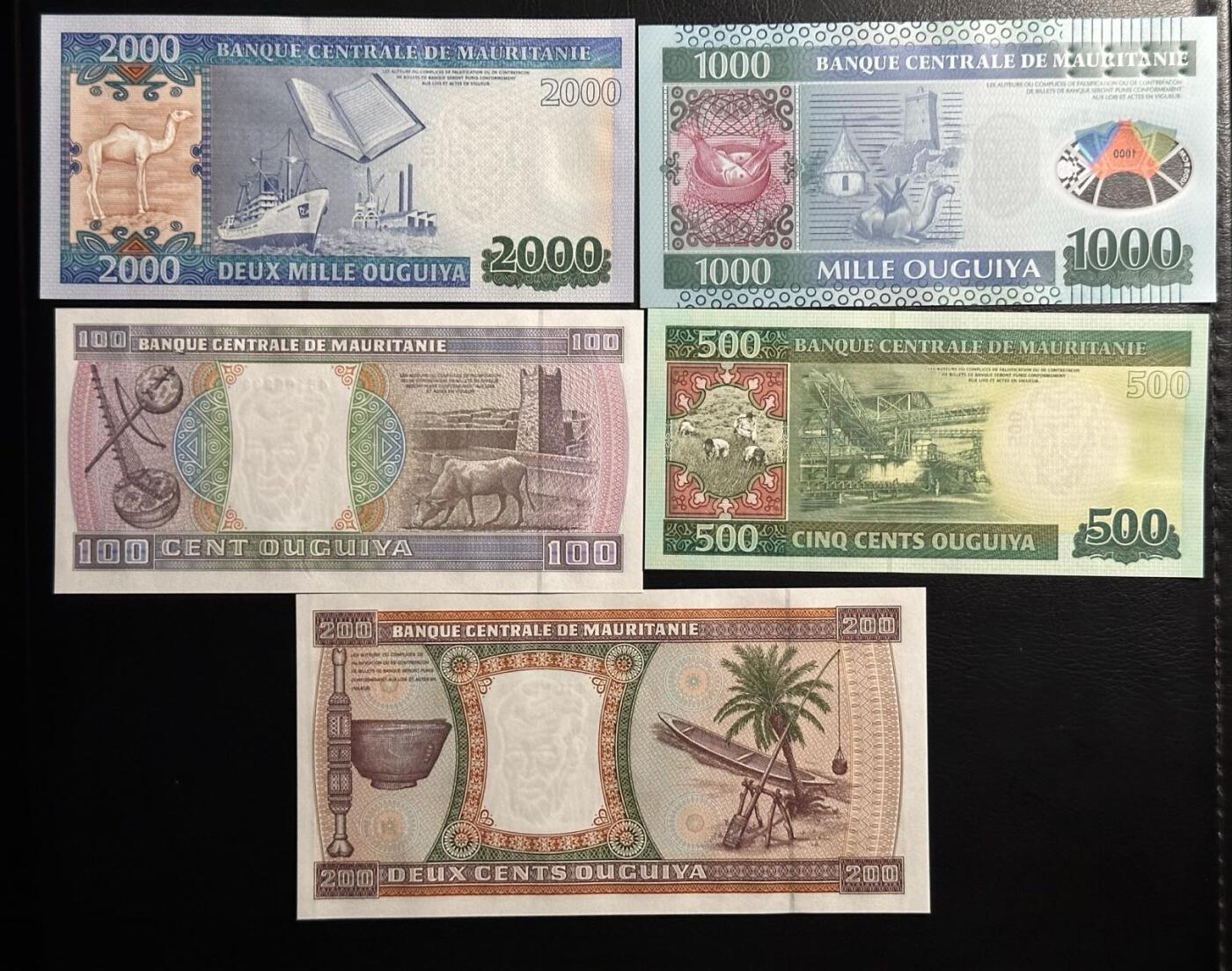 丙午马年三月第四场 。本期更新了大量稀有马剑