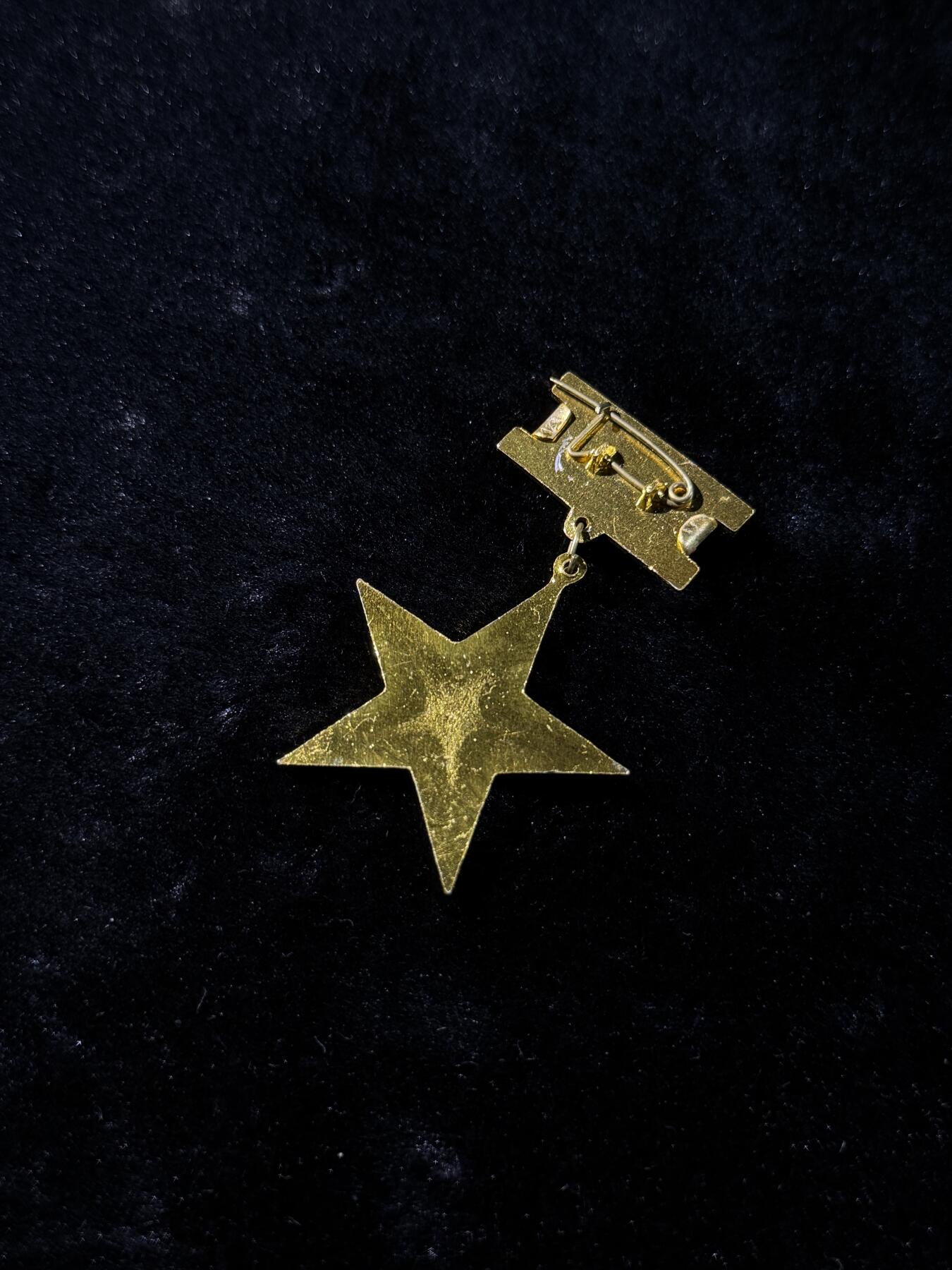 戎马世界章牌大赏，第112期 越南妈金