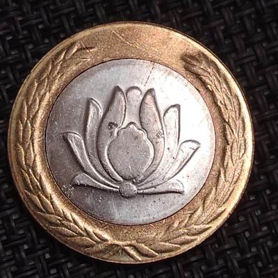 布加迪🐬～世界钱币(上海)🌾第 283 期 /  各国套币和散币 - 伊朗🇮🇷 1993年 250里亚尔