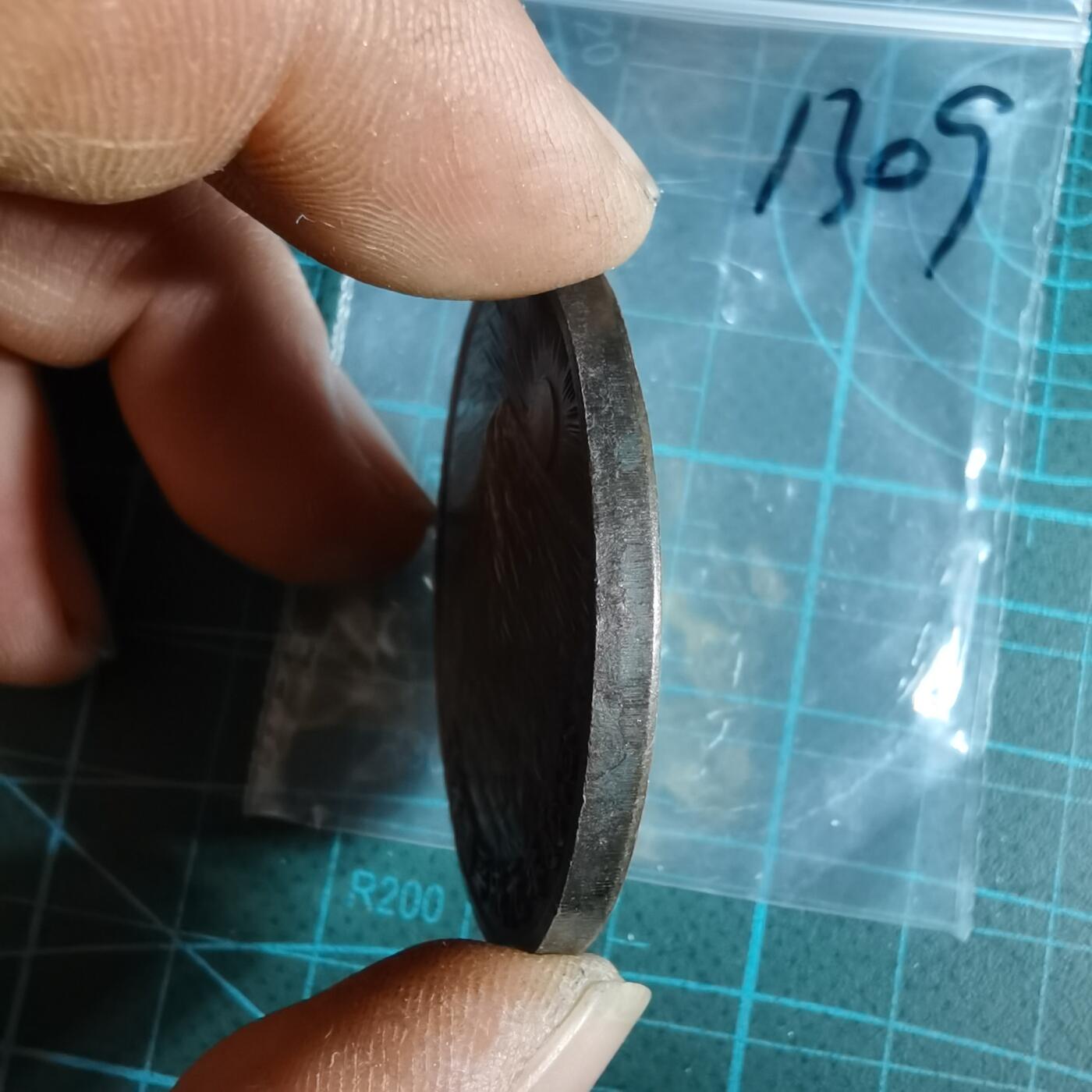 沼泽如烟--第1033场 1989年纪念章