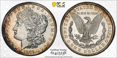 博洋堂“芳菲春韵”3月精品大拍专场暨第166期（全场包邮） - PCGS MS66 美国1881年S版摩根银币，双面环绕包浆