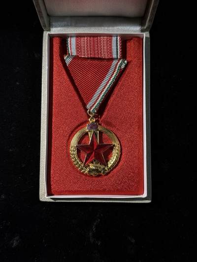 戎马世界章牌大赏，第112期 - 匈牙利奖章