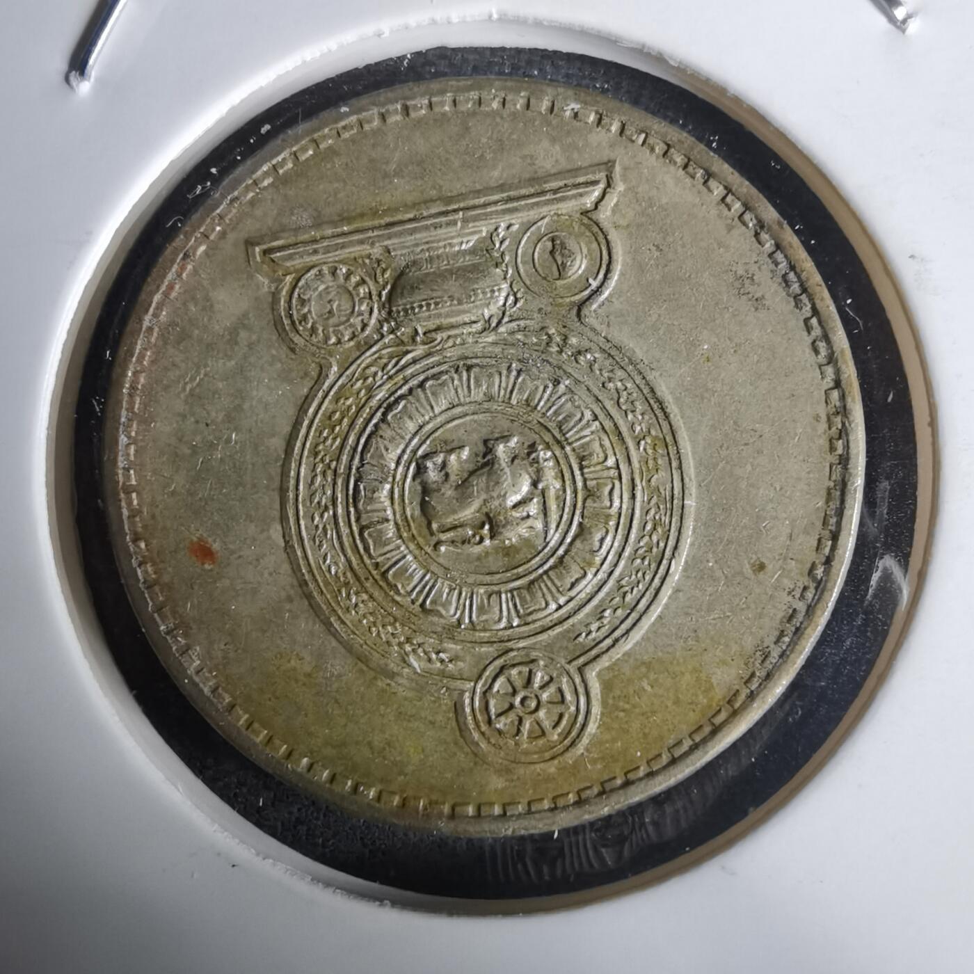 沼泽如烟--第1030场