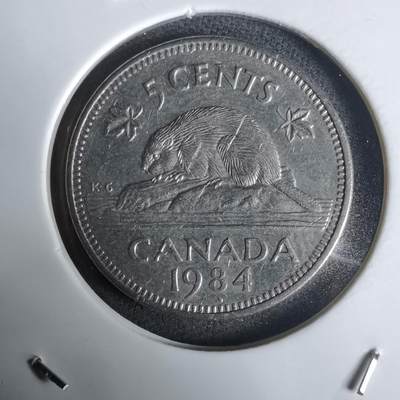 沼泽如烟--第1030场 - 加拿大1984年五分