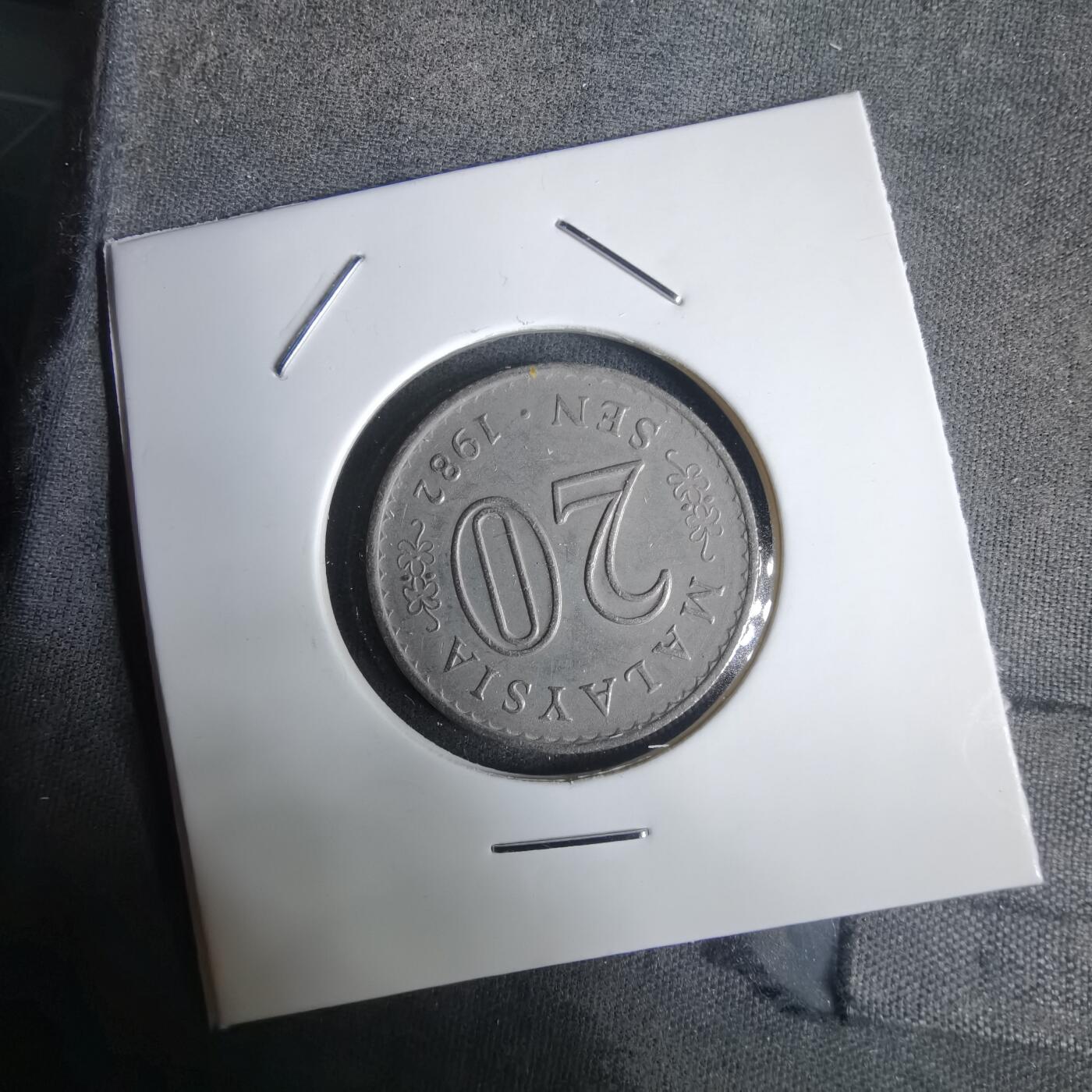 沼泽如烟--第1030场