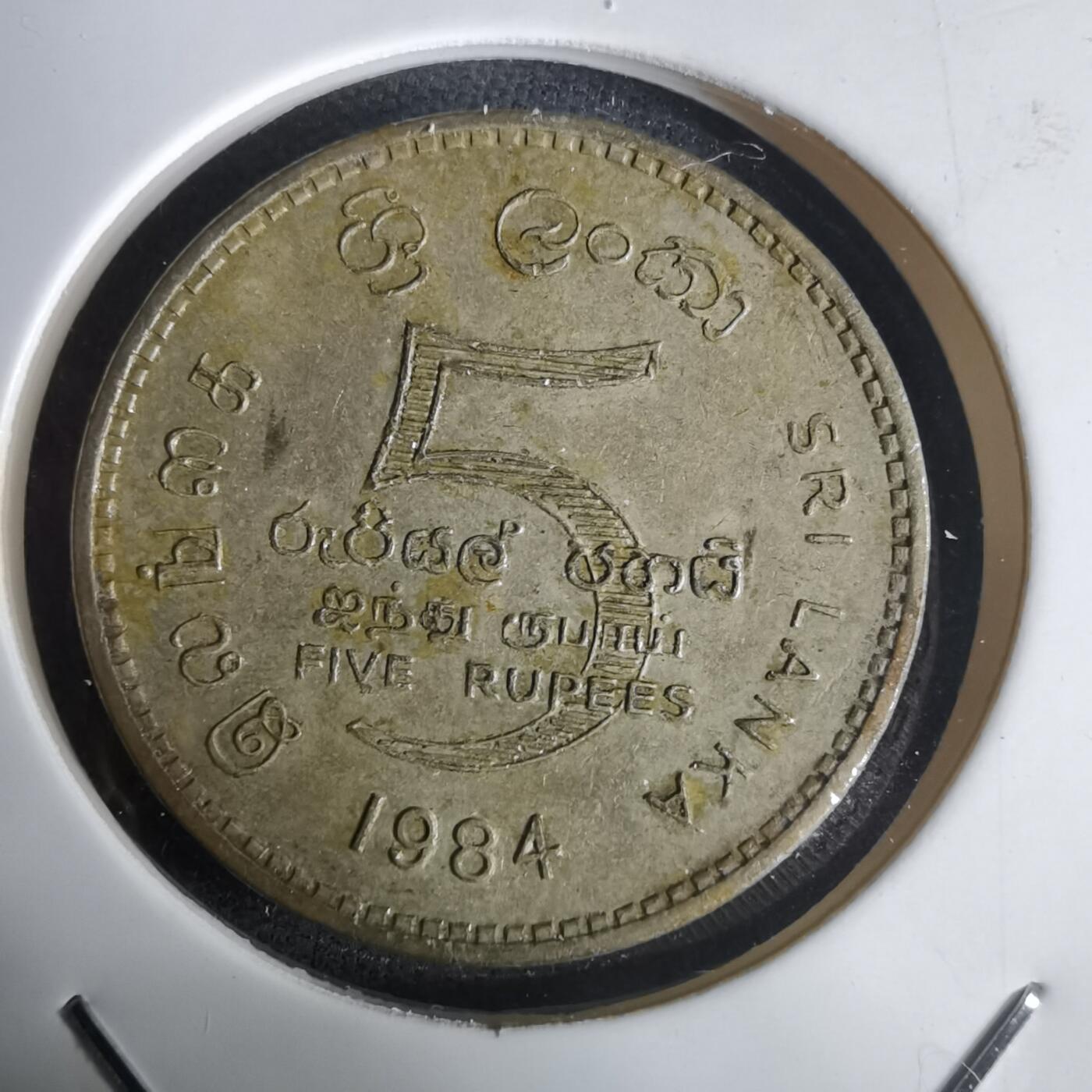 沼泽如烟--第1030场