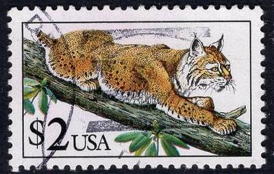 洪涛臻品批发群 精选邮票限时拍卖第1294期  - 美国高值邮票 $2美元