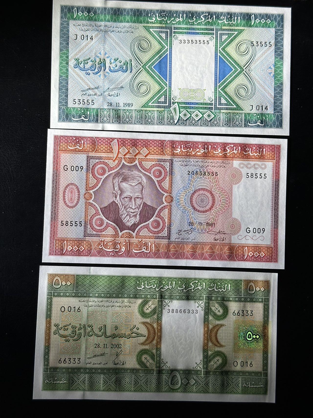 丙午马年三月第四场 。本期更新了大量稀有马剑