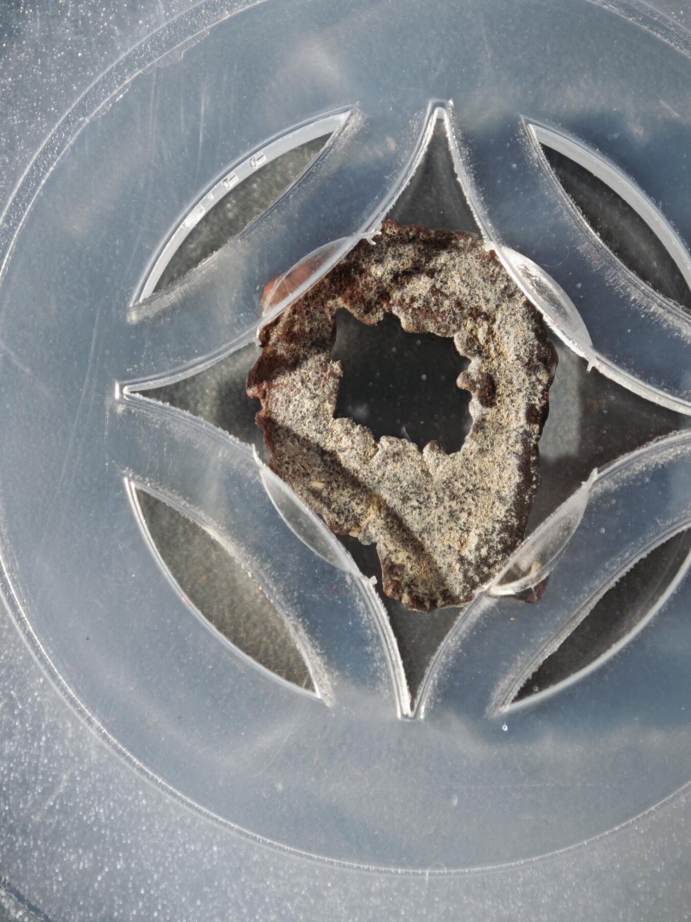 122期新疆红钱粟特钱币丝路钱币专场 龟兹无文小铜钱 佛教供养钱