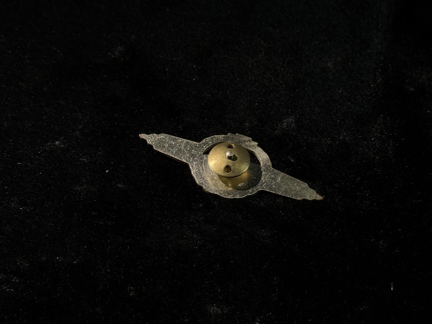 戎马世界章牌大赏，第112期 东德技能章