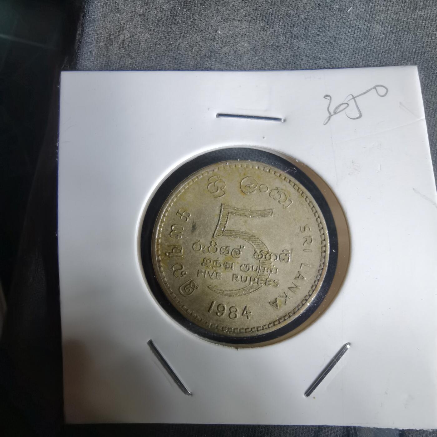 沼泽如烟--第1030场