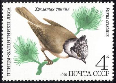 洪涛臻品批发群 精选邮票限时拍卖第1295期  - 苏联1979年 鸟-凤头山雀 原胶润白无贴