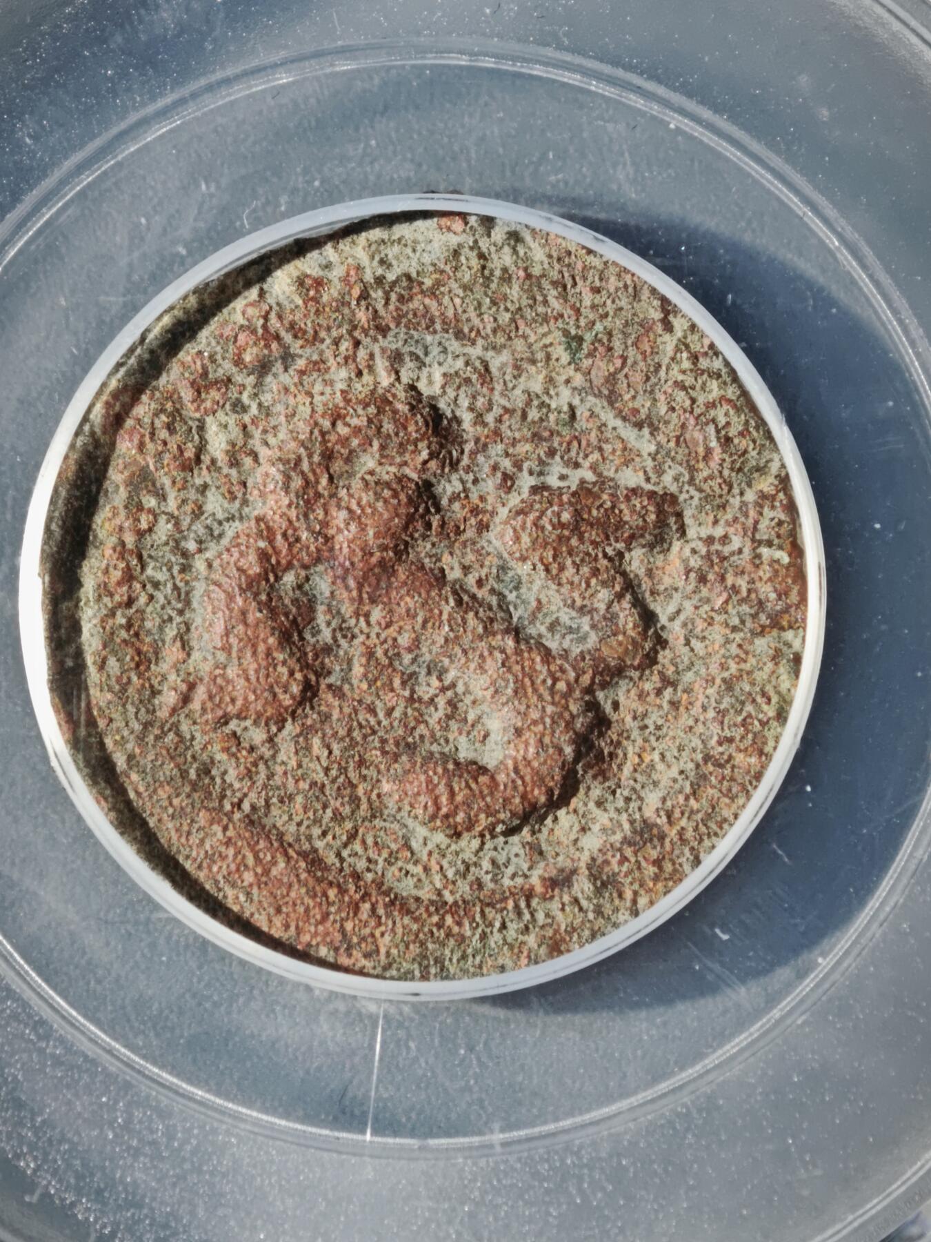 122期新疆红钱粟特钱币丝路钱币专场 七河地区铜币 碎叶城无名王