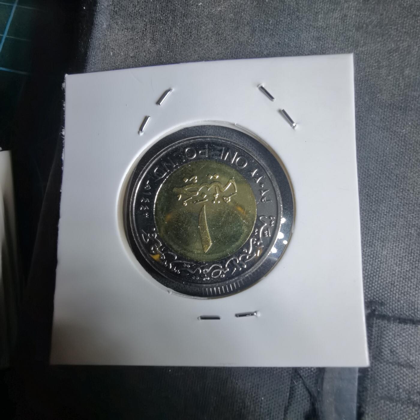 沼泽如烟--第1030场 埃及