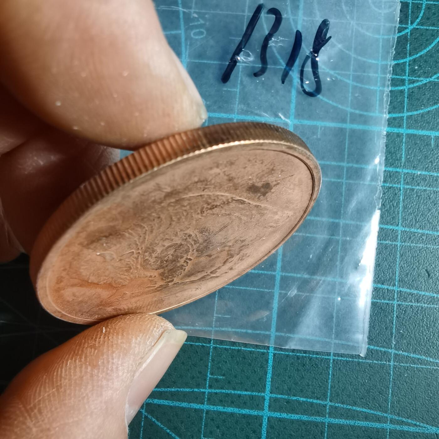 沼泽如烟--第1033场 美国野牛纪念章