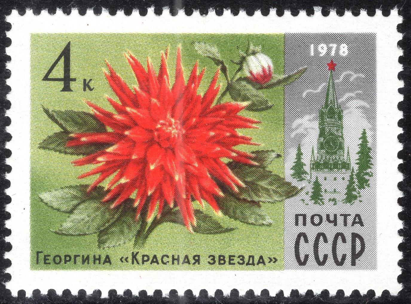 洪涛臻品批发群 精选邮票限时拍卖第1295期  苏联1978年 大丽花“红星”和斯帕斯基塔 原胶全品