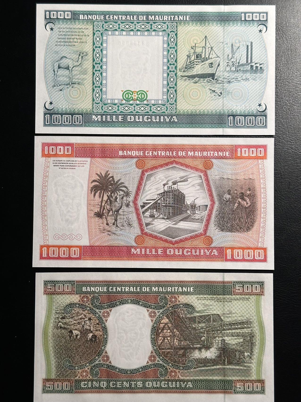 丙午马年三月第四场 。本期更新了大量稀有马剑