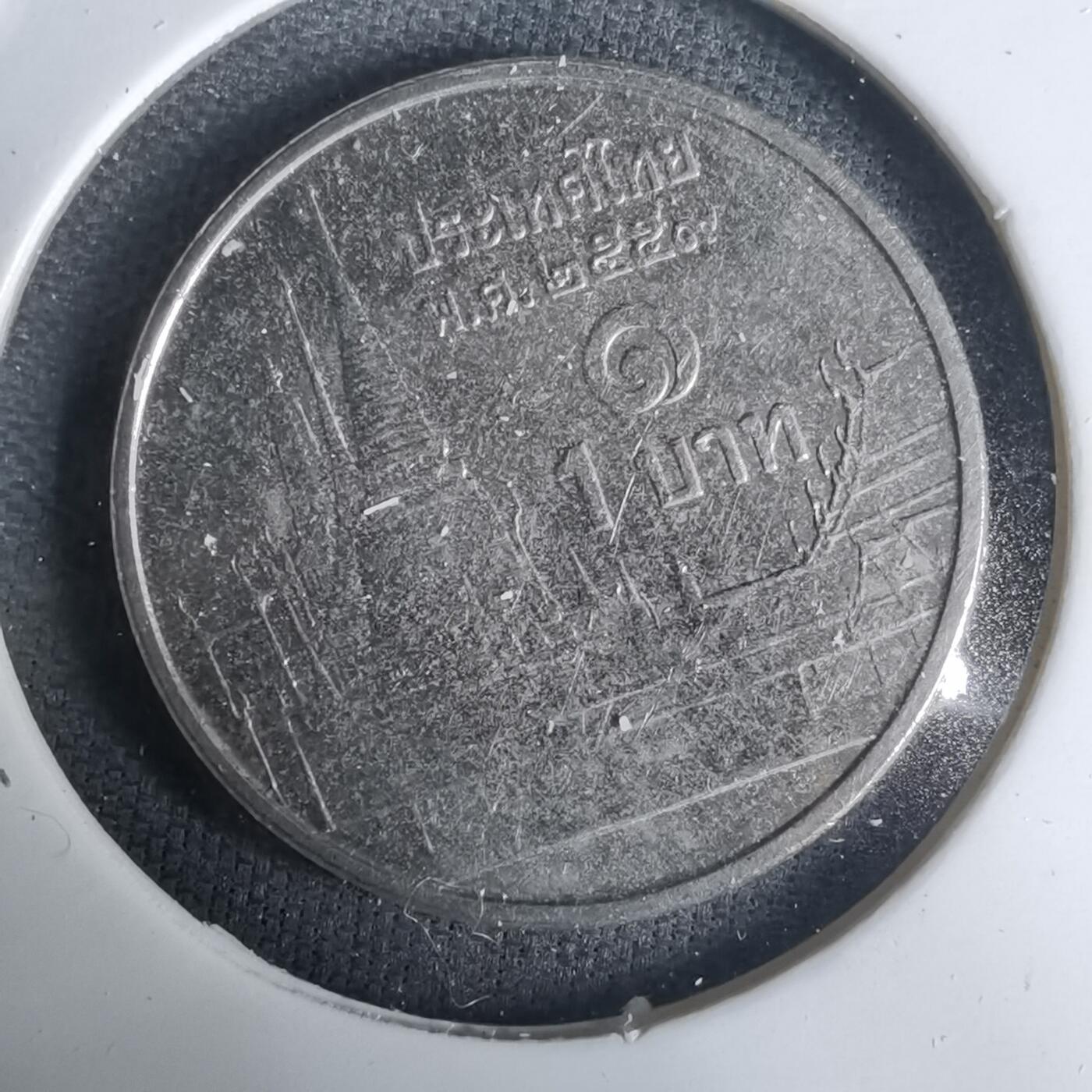 沼泽如烟--第1030场 泰国