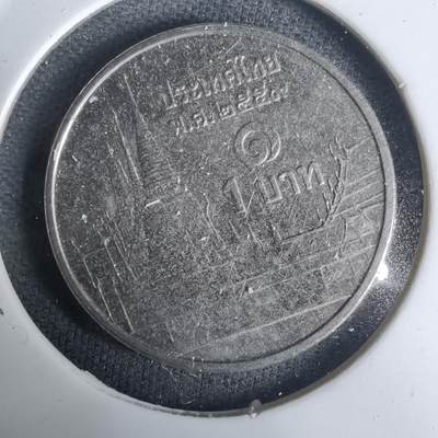 沼泽如烟--第1030场 - 泰国