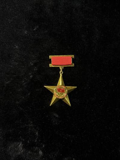 戎马世界章牌大赏，第112期 - 越南妈金