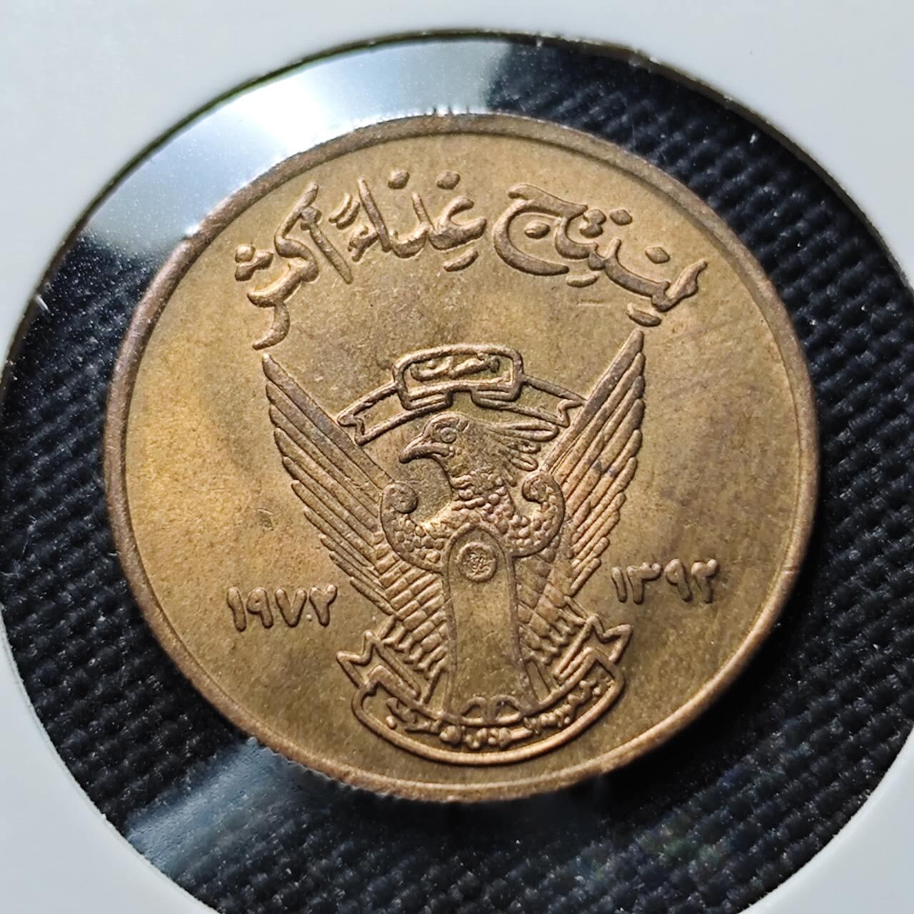 KK钱币收藏小铺  第406期 2月预留时间 周末发货  苏丹5米利姆铜币 好品