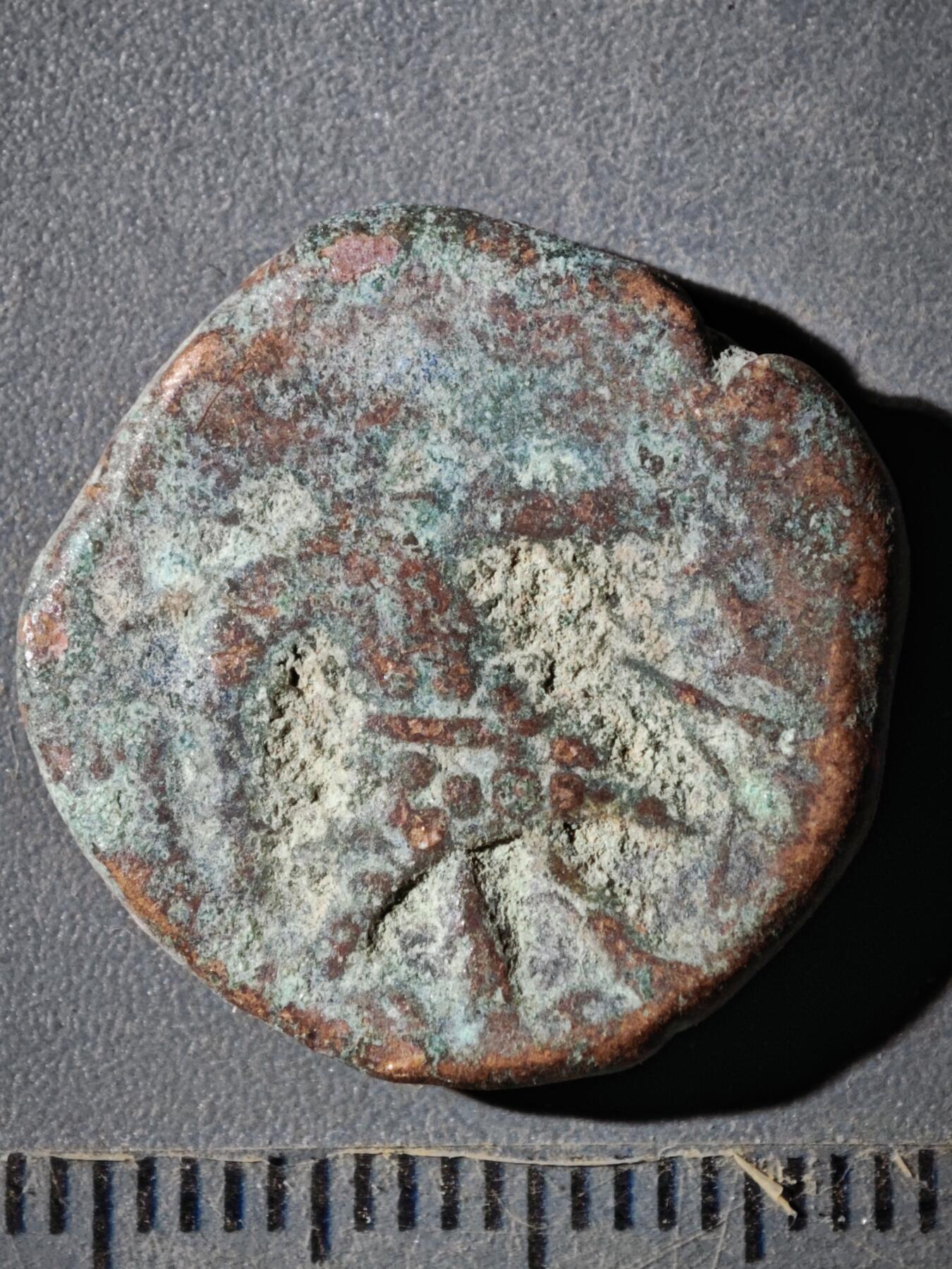 122期新疆红钱粟特钱币丝路钱币专场 F丝路铜币版式